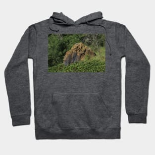 Red Sand Stone rock in a pasture Hoodie